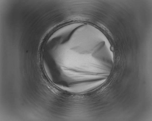 X0000073421027200608181116