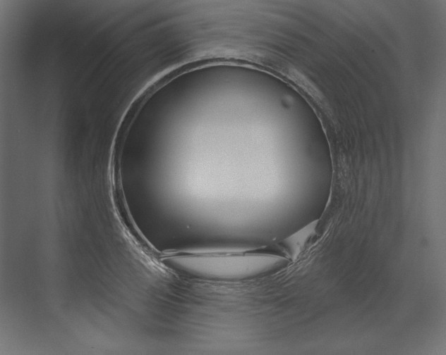 X0000073421028200608181116