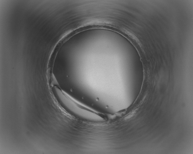 X0000073421029200608181116