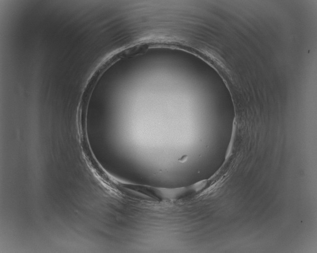 X0000073421030200608181116