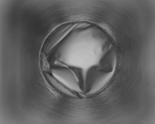 X0000073421031200608181116