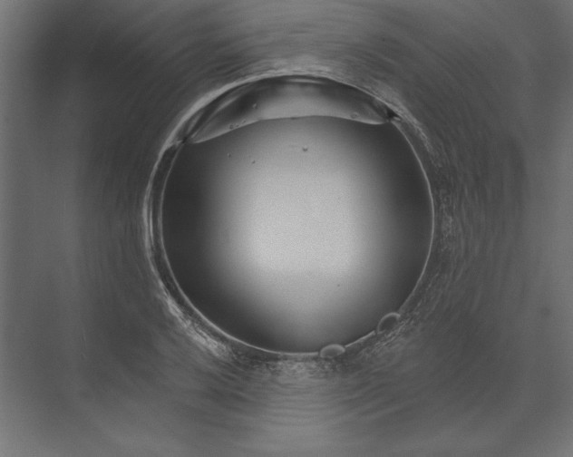 X0000073421032200608181116