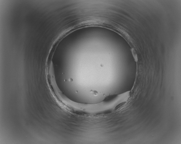 X0000073421034200608181116