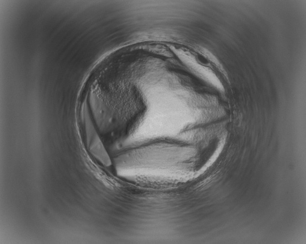 X0000073421035200608181116