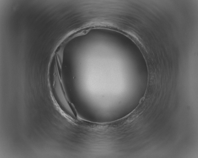 X0000073421038200608181116