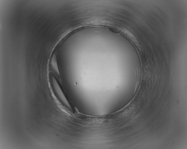 X0000073421039200608181116