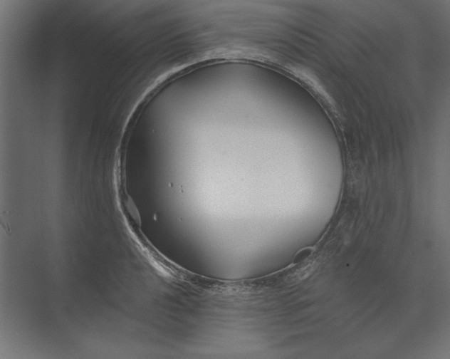 X0000073421040200608181116