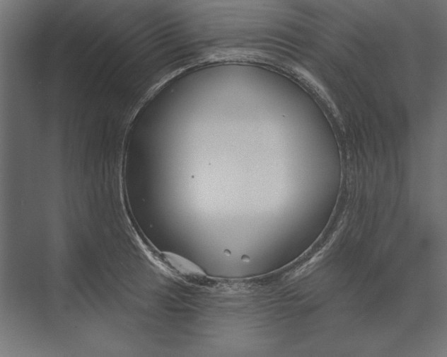 X0000073421041200608181116