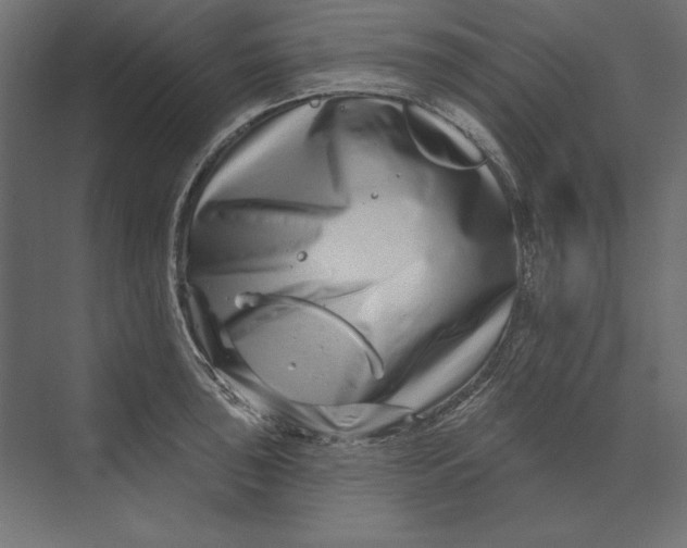 X0000073421043200608181116