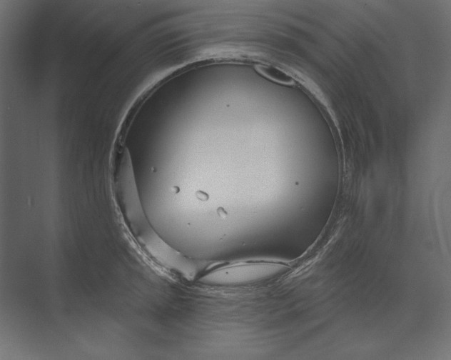 X0000073421045200608181116