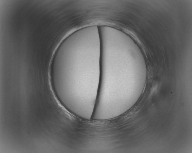 X0000073421048200608181116