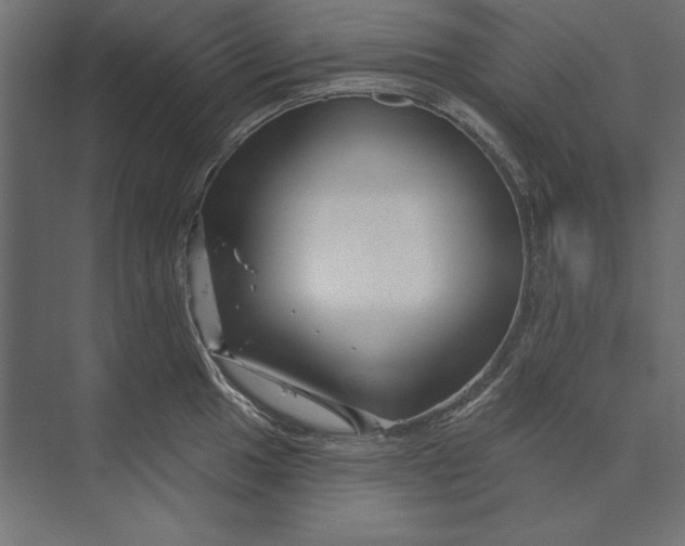 X0000073421049200608181116