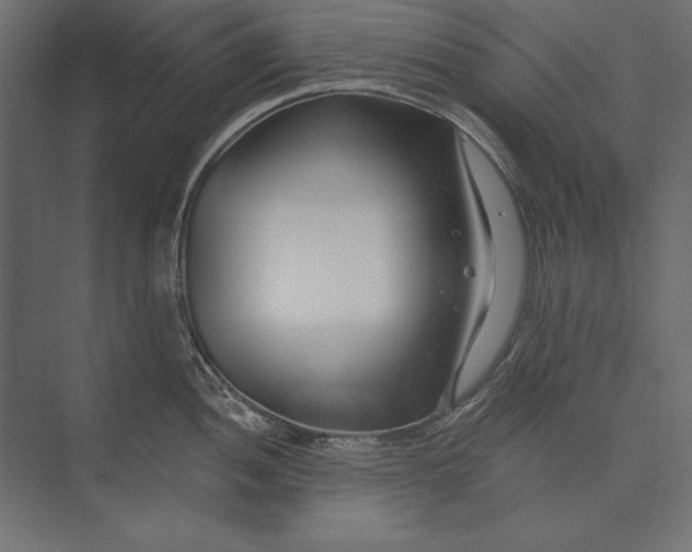 X0000073421052200608181116