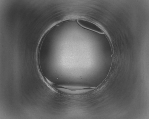 X0000073421053200608181116