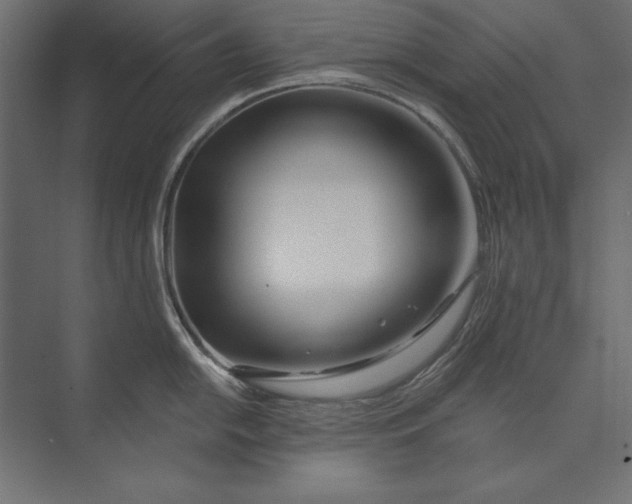 X0000073421054200608181116