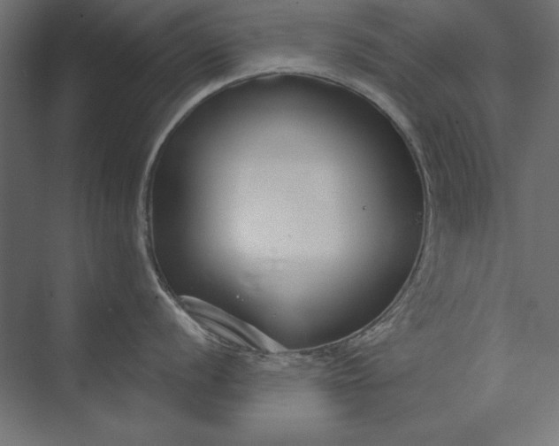 X0000073421056200608181116