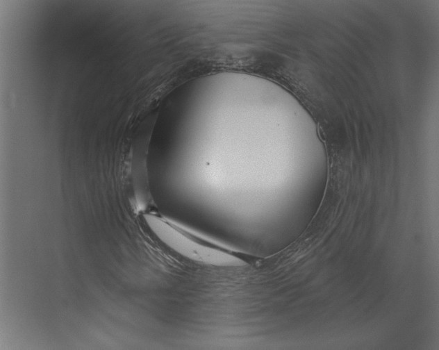 X0000073421058200608181115