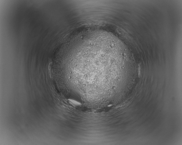 X0000073421059200608181115