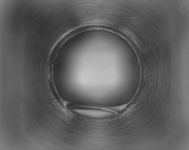 X0000073421069200608181115