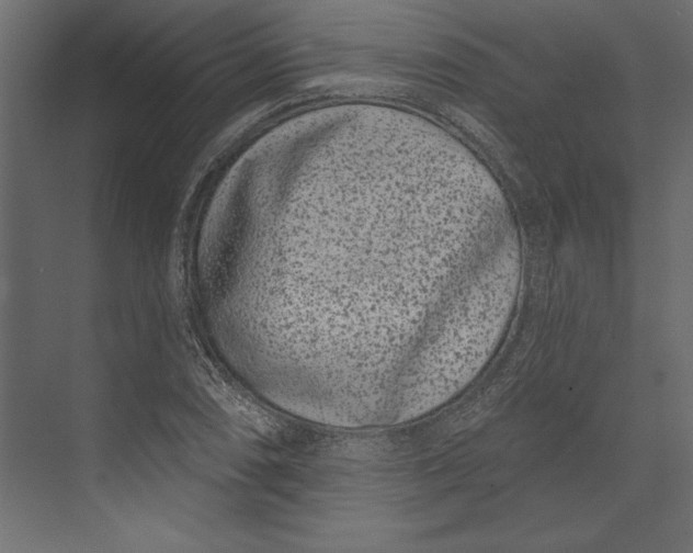 X0000073421074200608181115