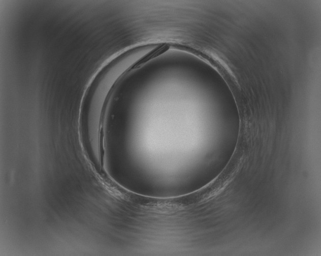 X0000073421077200608181115