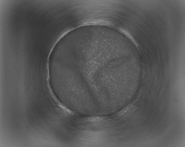 X0000073421079200608181115