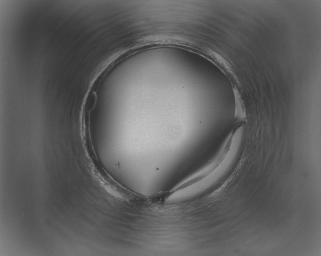 X0000073421082200608181115