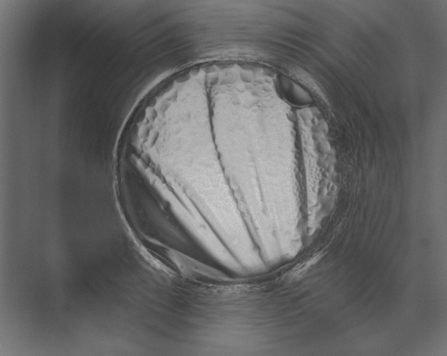 X0000073421087200608181115