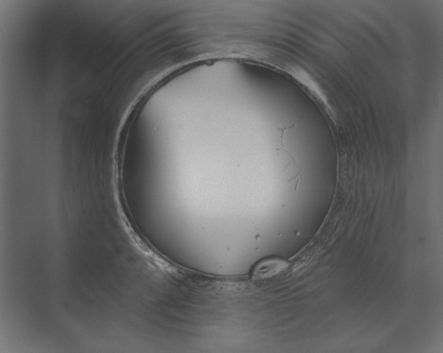 X0000073421088200608181115