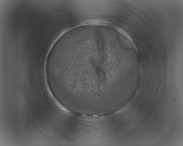 X0000073421091200608181115