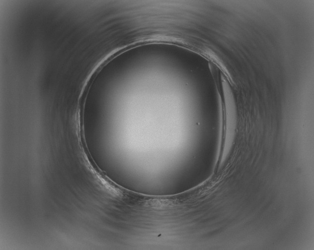 X0000073421092200608181115