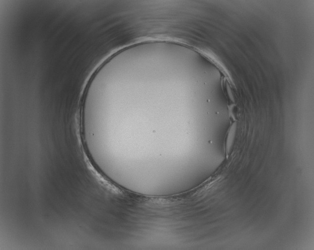 X0000073421100200608181114