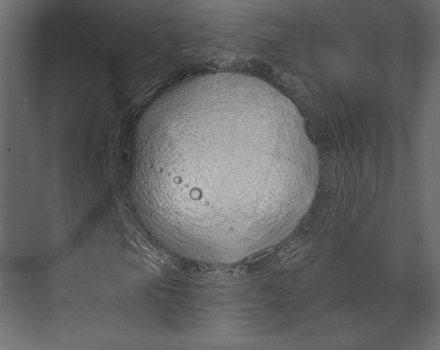 X0000073421105200608181114