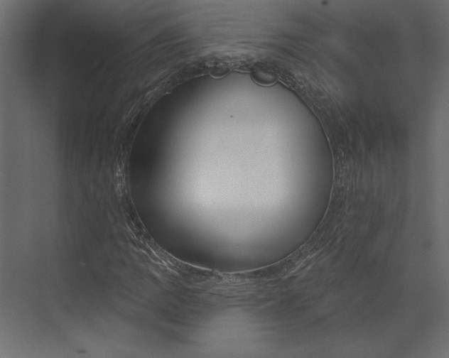 X0000073421109200608181114