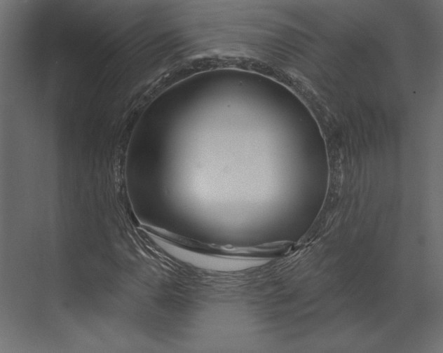 X0000073421110200608181114