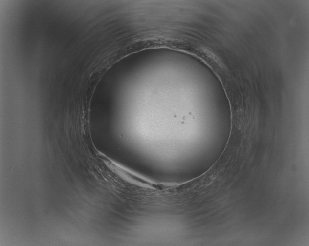 X0000073421111200608181114