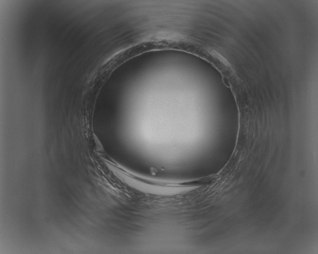 X0000073421112200608181114