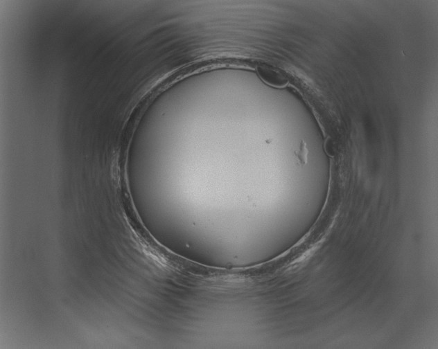 X0000073421113200608181114