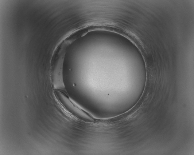 X0000073421114200608181114