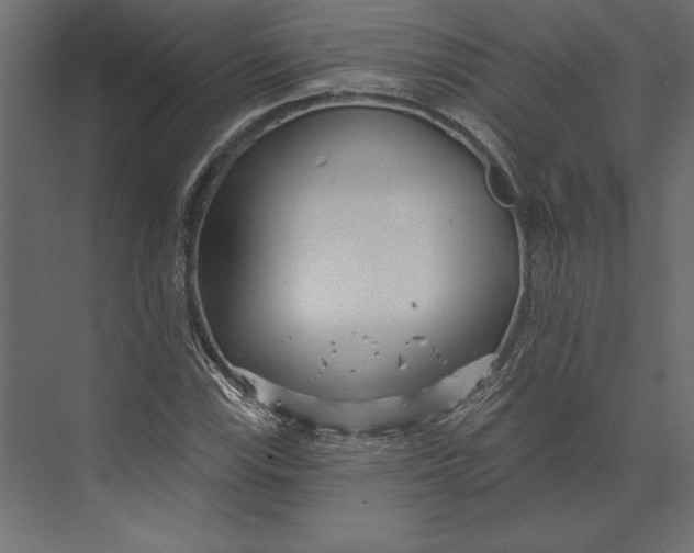 X0000073421115200608181114