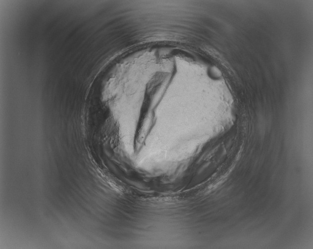 X0000073421121200608181114