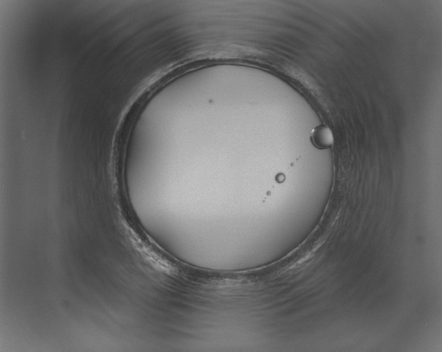 X0000073421122200608181114