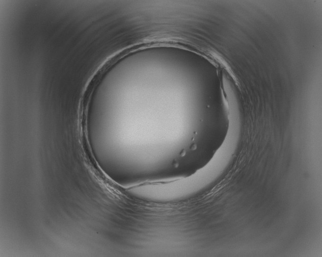 X0000073421124200608181114