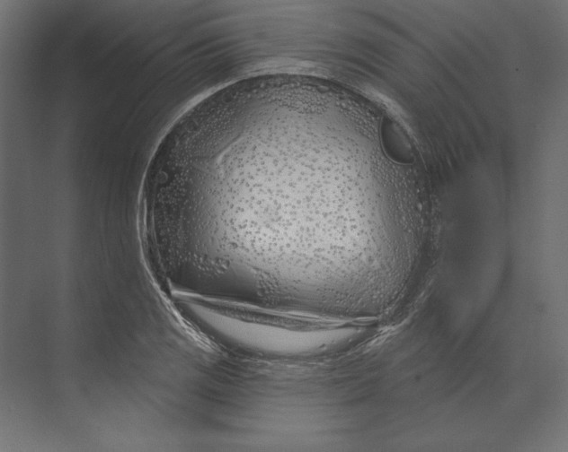 X0000073421125200608181114