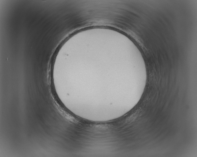 X0000073421126200608181114