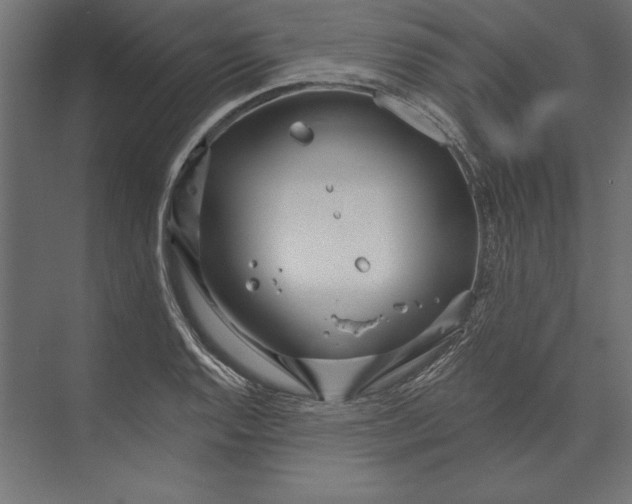 X0000073421128200608181114