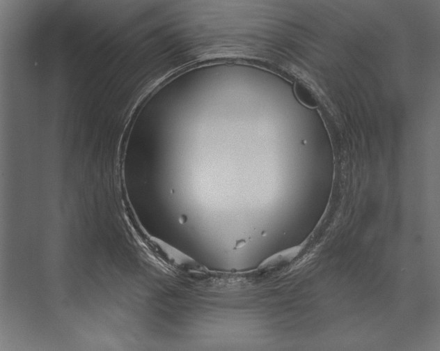 X0000073421129200608181114