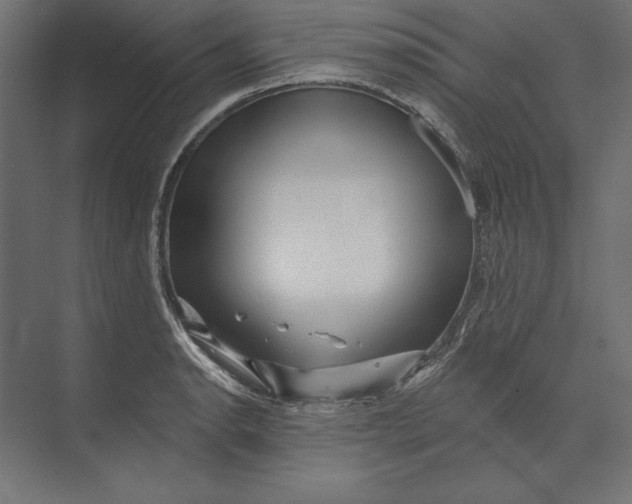 X0000073421134200608181114