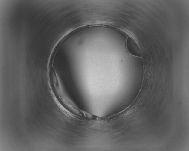 X0000073421135200608181114