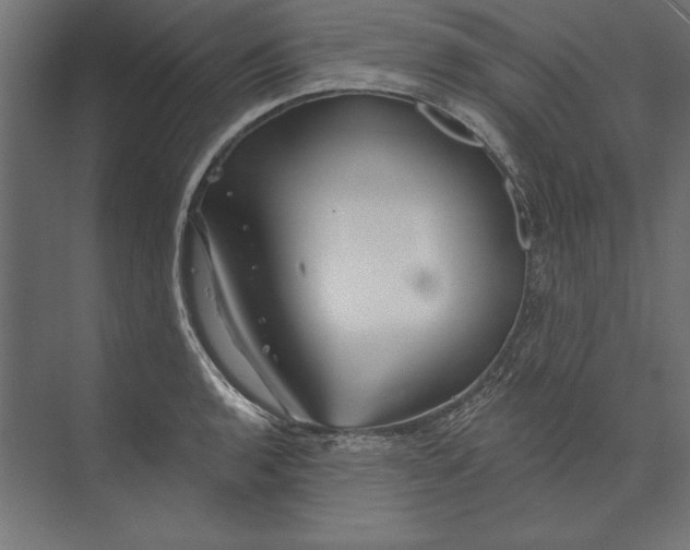 X0000073421136200608181114